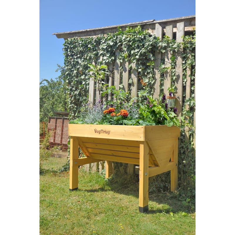 1 m Wooden Raised Bed Planter